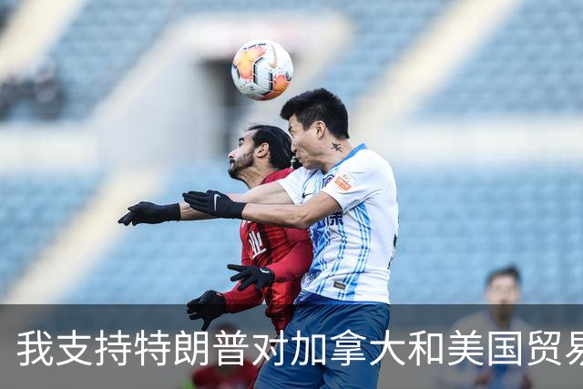 我支持特朗普对加拿大和美国贸易冲突的立场